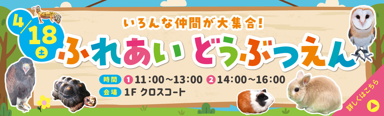 SOCOLA（ソコラ）武蔵小金井クロス