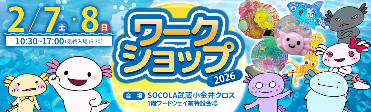 SOCOLA（ソコラ）武蔵小金井クロス