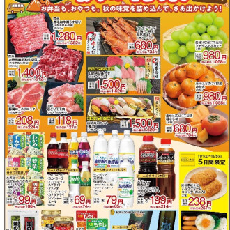 今週のチラシ　11/1(土)～11/5(水)  【秋の行楽特集】毎週火曜日、金曜日はポイント3倍！！