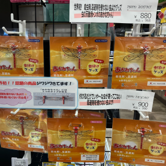 ミネドラッグおすすめ商品✨