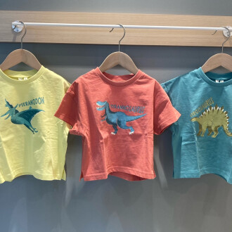 大人気の恐竜シリーズ入荷しました🦕