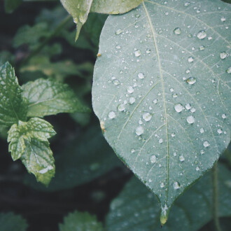 雨の日の内見こそおススメ！？雨天内見だからこそチェックできる3つのポイントをご紹介！