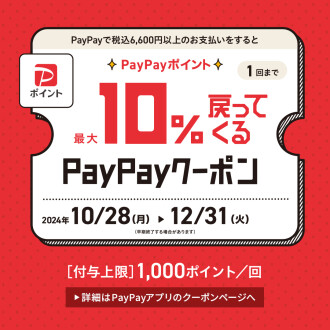 お得なPayPayクーポンも12/31まで‼